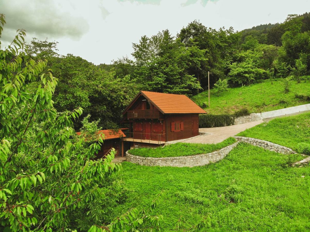 Lazec Country House Pluznje Exterior photo